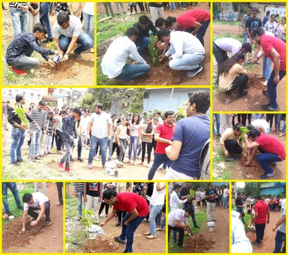 Tree plantation drive